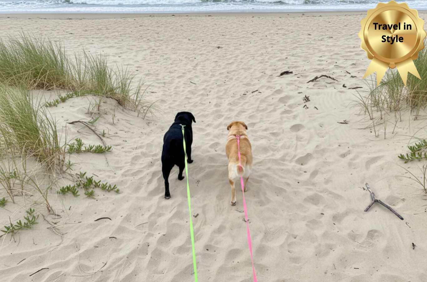 The "Double the Love" Premium Dual Leash