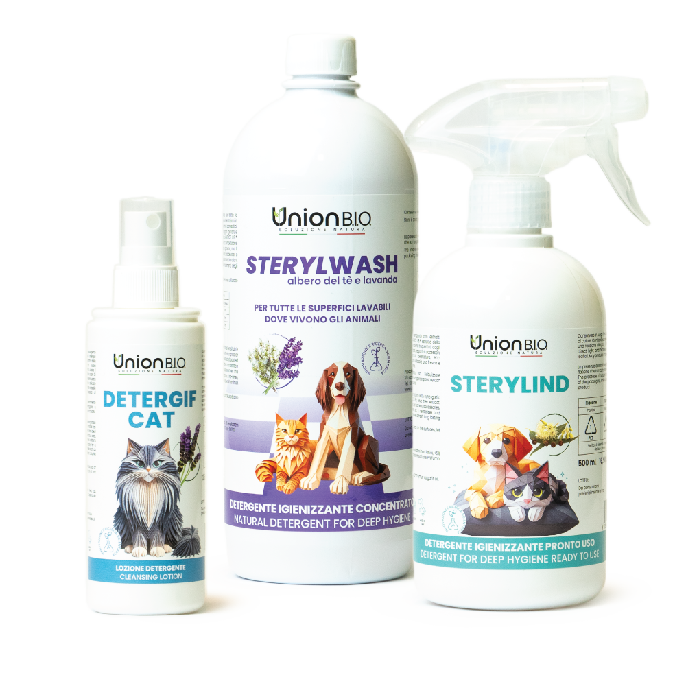 UNION B.I.O. kit - AxiaVibe Clean and Fresh collection