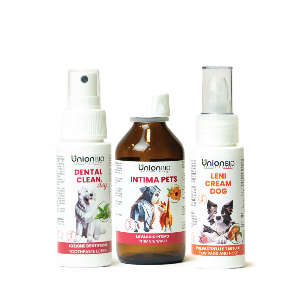 UNION B.I.O. kit - AxiaVibe daily care collection