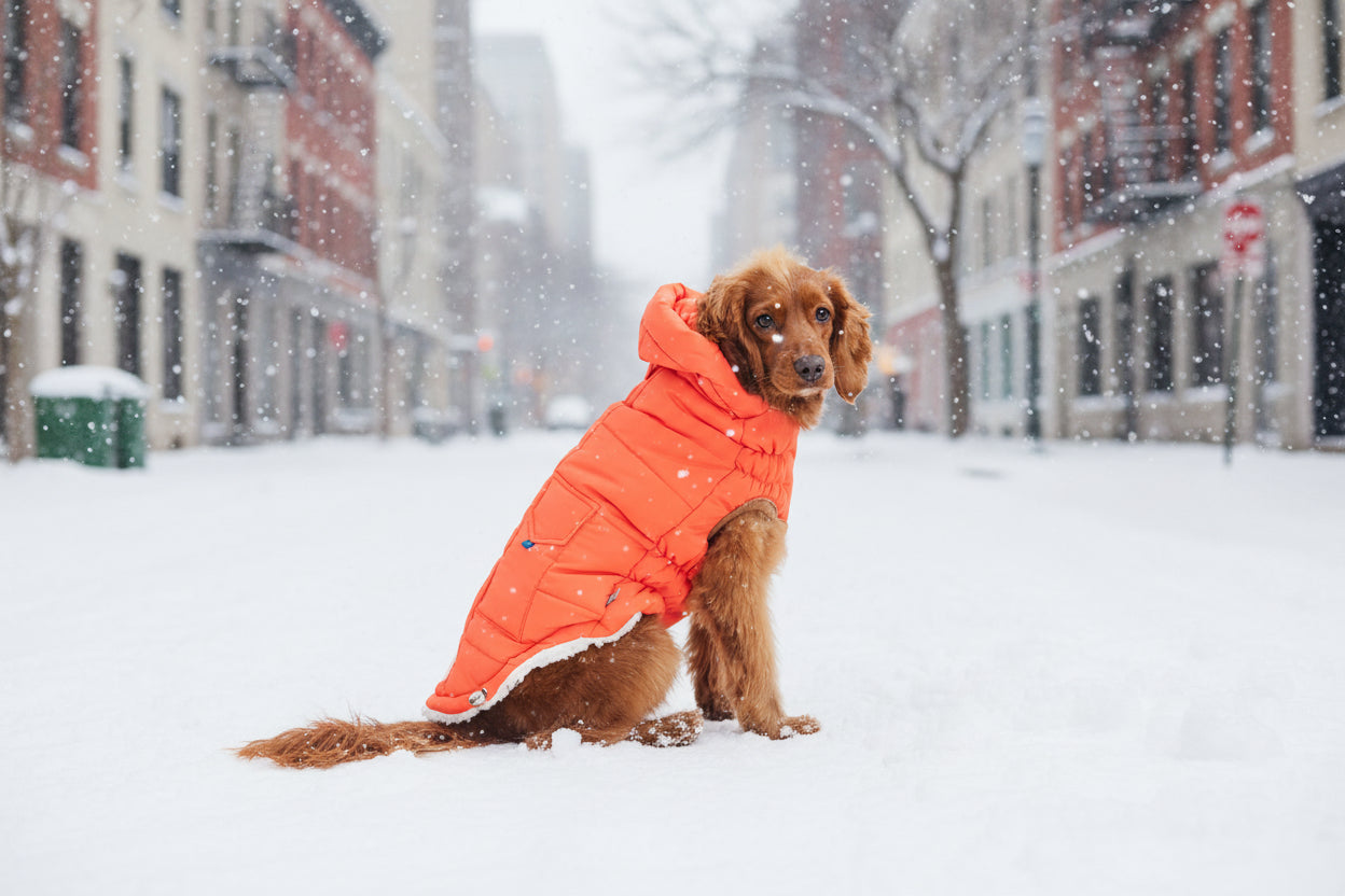 AmberGlow Thermal Parka – Keeping Their Inner Fire Warm in the Cold