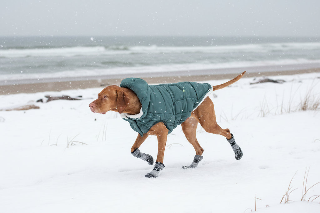AzureShield Thermal Parka – Like a Clear Blue Sky on the Coldest Day
