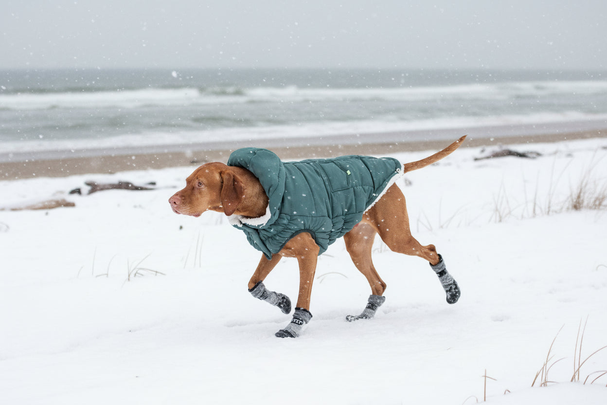 AzureShield Thermal Parka – Like a Clear Blue Sky on the Coldest Day