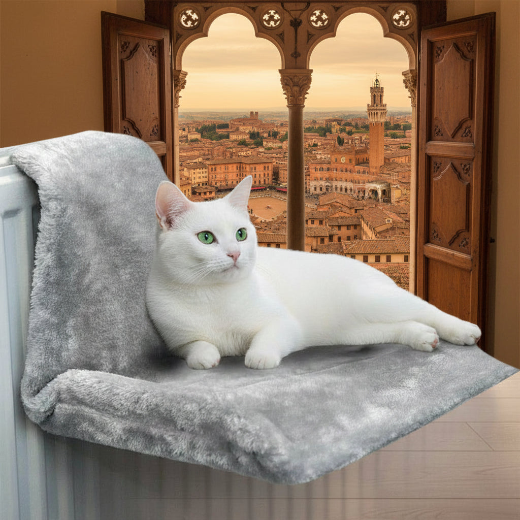 Sky-High Serenity: Elevate Your Cat’s Napping Game, Anywhere You Go