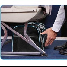 The "First Class" Cabin Pet Carrier