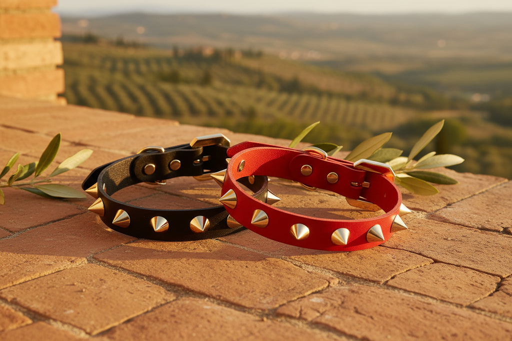 Golden Bonds & Midnight Leather: Elegance That Boldly Defines Their Presence