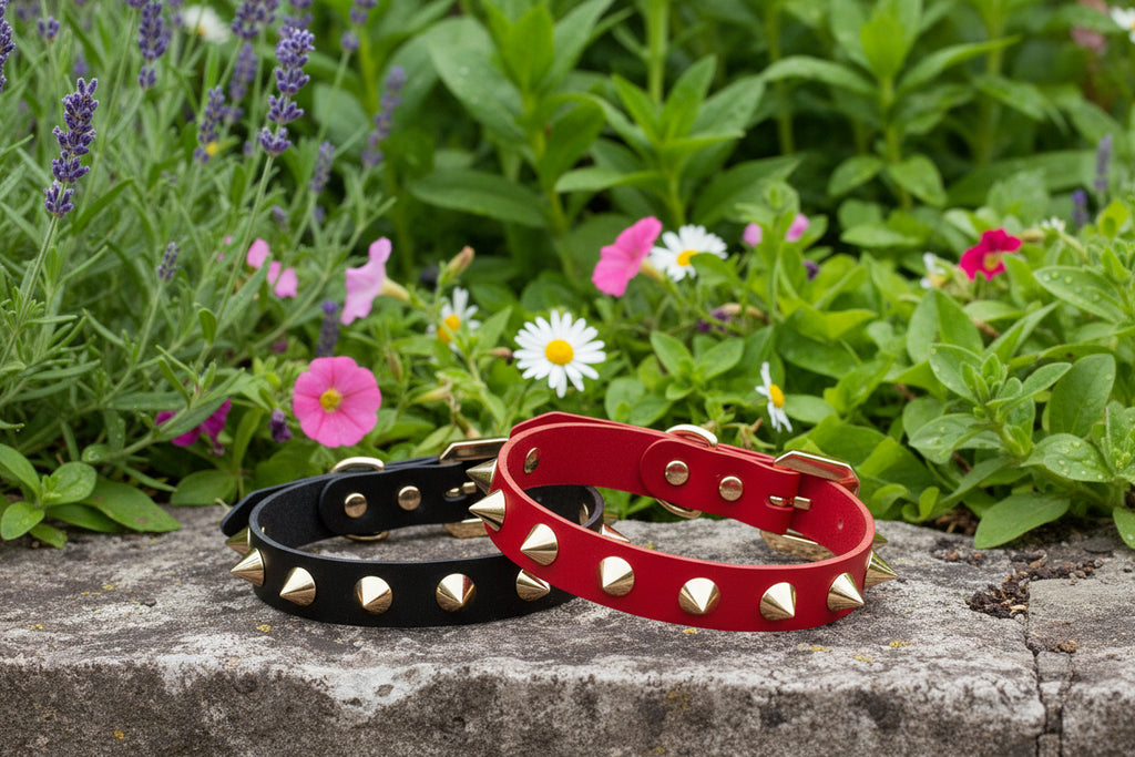 Golden Bonds & Midnight Leather: Elegance That Boldly Defines Their Presence